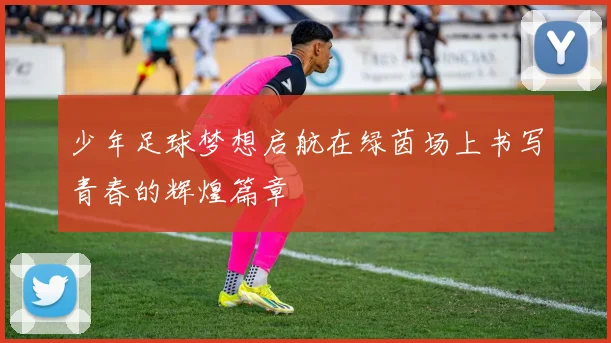 少年足球梦想启航在绿茵场上书写青春的辉煌篇章